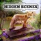 Hidden Scenes - Spring Babies