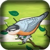 Mad Birds Revenge Pro: Air Domination Wars Flying and Shooting Game