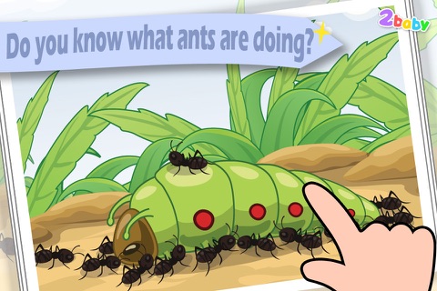 Ant - InsectWorld  A story book about insects for children screenshot 2