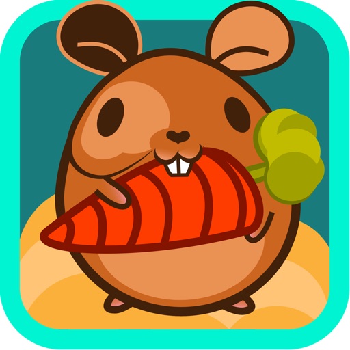 Best Mr Hamster iOS App