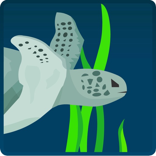 Deep Turtle iOS App