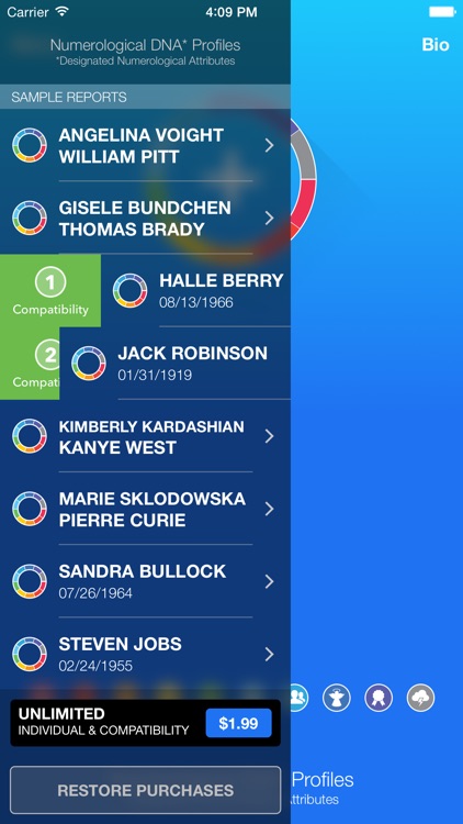 Numerological DNA* Profiles screenshot-4