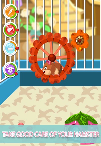 My Cute Hamster - Your own little hamster to play with and take care of! screenshot 2