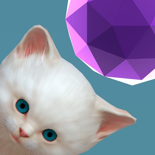 Be Kitten iOS App
