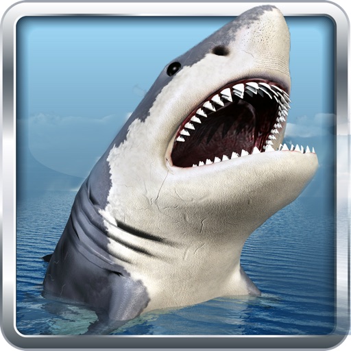 Angry Shark Hunter 3D Icon