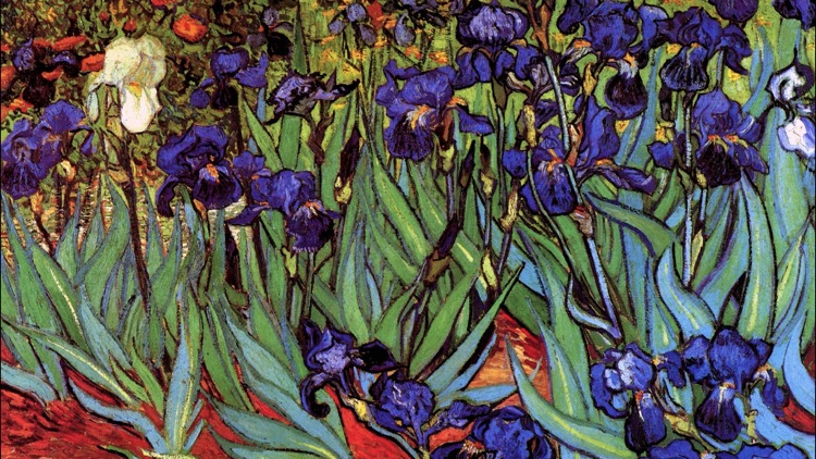 Art Wallpaper Van Gogh HD