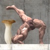 Superhard! Mushrooms and Muscle