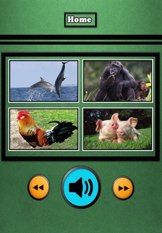 Animal Sounds - Free Preschool Toddlers Games screenshot 3