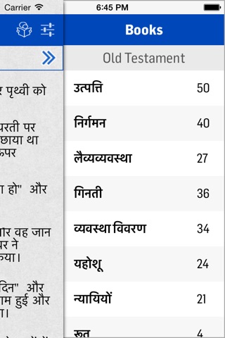 The Hindi Bible screenshot 3