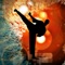 Watch world martial art videos on your iPhone