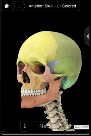 Skeleton System Pro III-iPhone screenshot 4