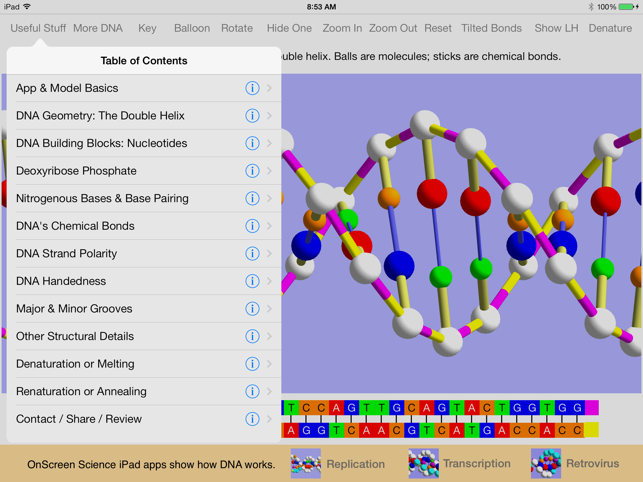 OnScreen DNA Model(圖2)-速報App