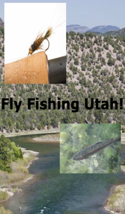 Fly Fishing Utah