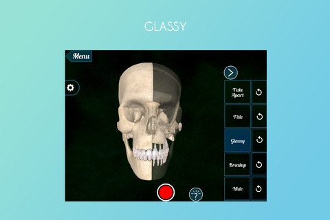 Virtual Reality(VR) Human Skull screenshot 4