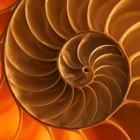 Top 39 Education Apps Like Pisano Period - Fibonacci series and Pisano periods of Fibonacci mod - Best Alternatives