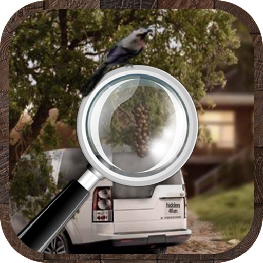 Hidden Objects??? icon