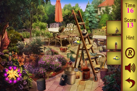 Hidden Objects A Cleaning Weekend screenshot 3