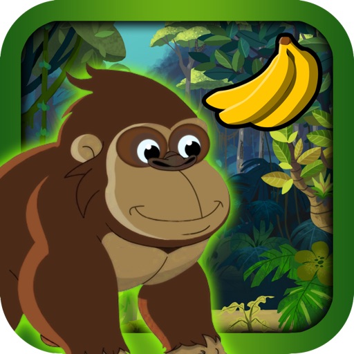 Kong Run : Race to Avoid Spider Snakes and Birds
