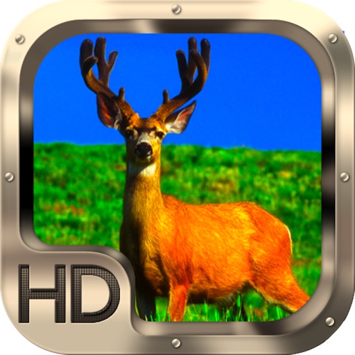 Deer Hunting 3D Pro iOS App