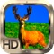 Deer Hunting 3D Pro