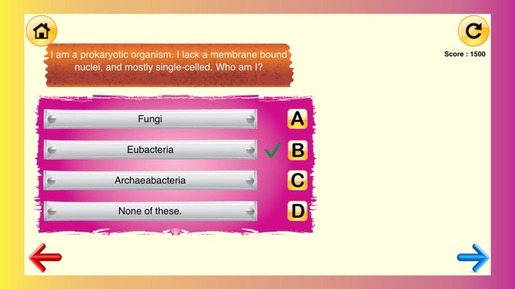 6th Grade Science Quiz # 2 : Practice Worksheets for home use and in school classrooms