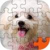 Jigsaw Collection - Puppy Packs For Kids