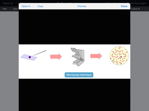 Bio Flowchart screenshot 4