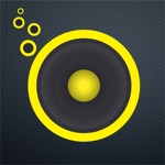Chinese Radio LE