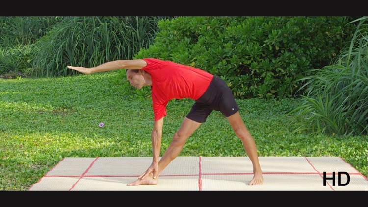 Yoga Virtuoso with Lyndon: Move, Stretch, Dance