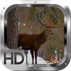 Elk Deer Hunter