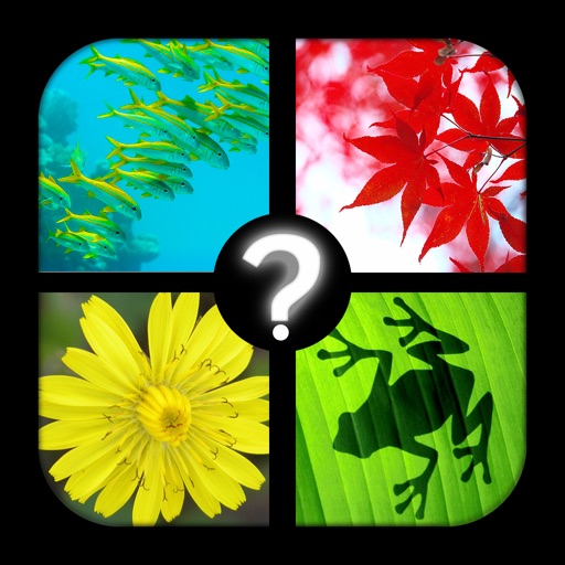 Picmixed: 100 PICS Quiz, the biggest free guess the hidden picture puzzles trivia game EVER! Icon