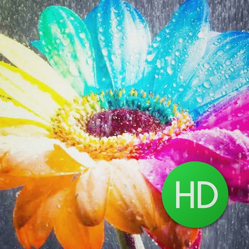 Customizable Flower Wallpapers HD Free !