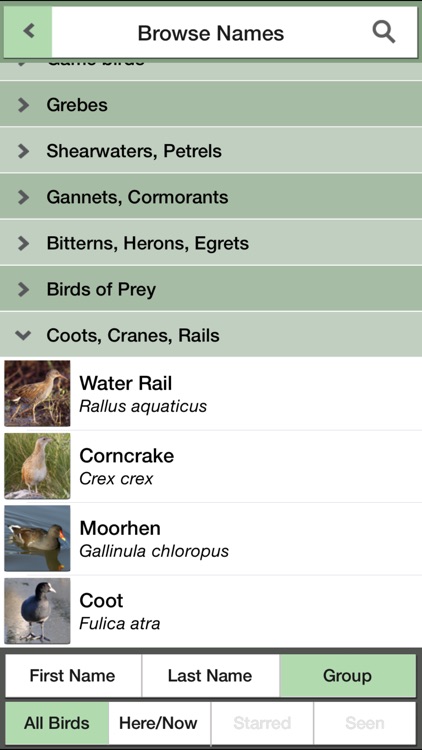 Birds of the Netherlands: A Field Guide from iSpiny screenshot-3