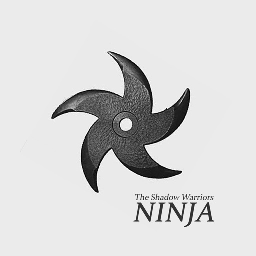 Ninja - The Shadow Warriors