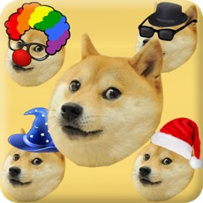 Activities of Swipe the Doge