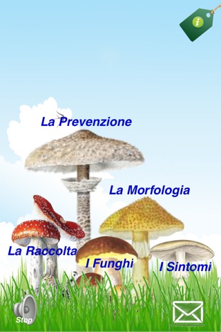 Funghi screenshot 2