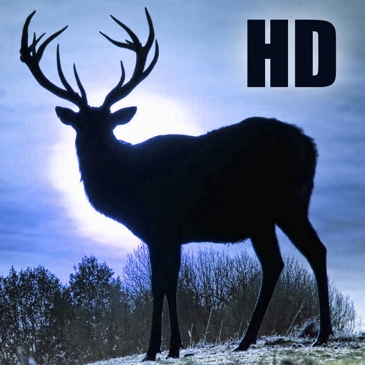 Deer Sniper: Extreme Hunting - Arcade Edition icon