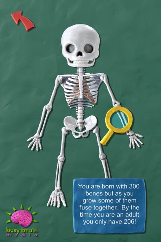 Skeleton Dance by Busy Brain Media - The Fun Educational Puzzle Game that Teaches Kids the Name and Position of Bones in the Human Body as well as Facts About Their Anatomy as They Play. screenshot 4