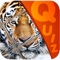 My Top Animal Magic Tile Playtime Quiz - Free App