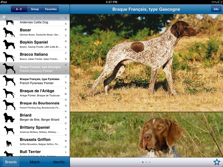 Perfect Dog HD Free - Ultimate Breed Guide To Dogs
