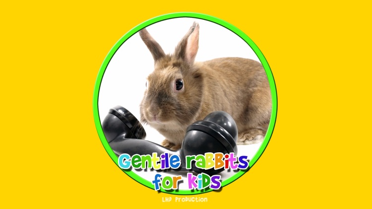 gentile rabbits for kids - free screenshot-0