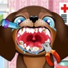 Dog Dentist