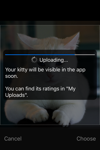 Cute Kitties screenshot 3