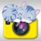 All the "Cool Cats" agree… Cat Snap is the #1 Photo app for cat-lovers everywhere