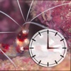 Image Clock 4