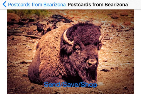 Postcards from Bearizona screenshot 3