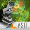 VSB Biology