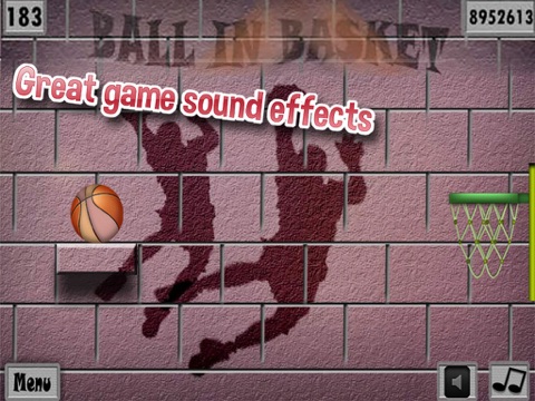 Ball in Basket Pro for iPad (3rd Gen) screenshot 3