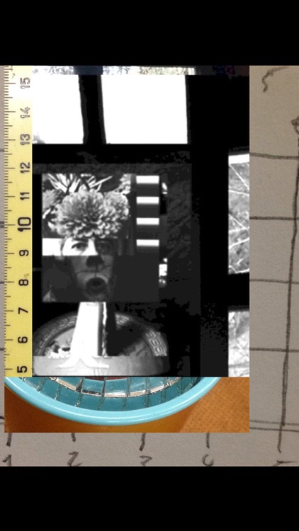 InceptionCam Lite screenshot-3