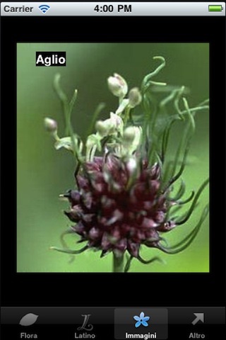 Flora Italiana screenshot 4